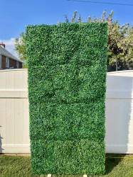 Greenery Wall